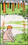 иллюстрация: мальчик с лягушкой