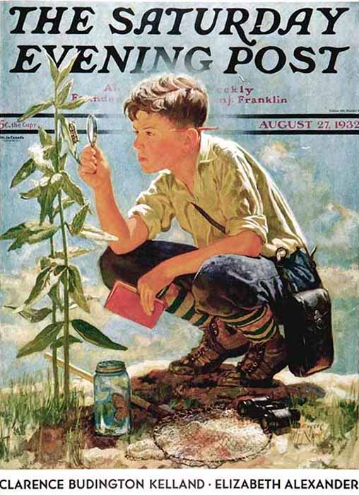 Boy Botanist (Юный ботаник), August 27, 1932