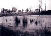 The lake on the old farm / Озеро на старой ферме