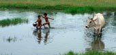 Дети, играющие в воде
