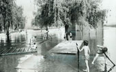 A flooded section of the park / Затопленный в наводнение участок парка