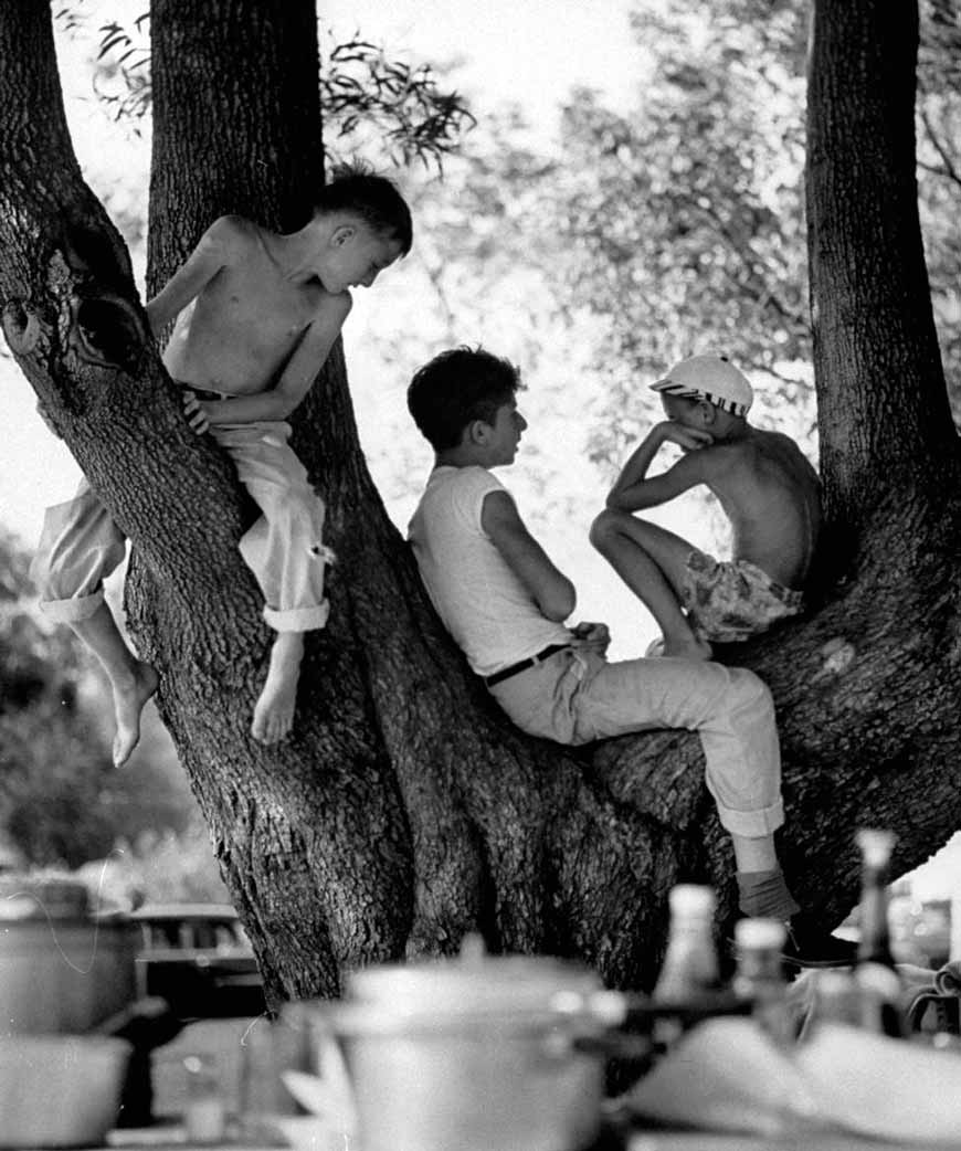 Children relaxing in a tree (Дети, отдыхающие на дереве), July 1954