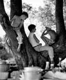 Дети, отдыхающие на дереве