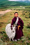 Юный кочевник со своей козой