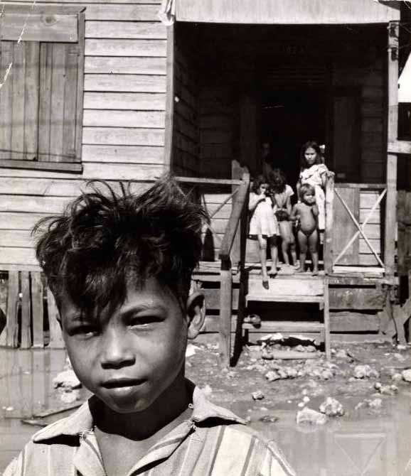 Puerto Rican Boy, City Children (Мальчик с Пуэрто-Рико, городские дети), 1949