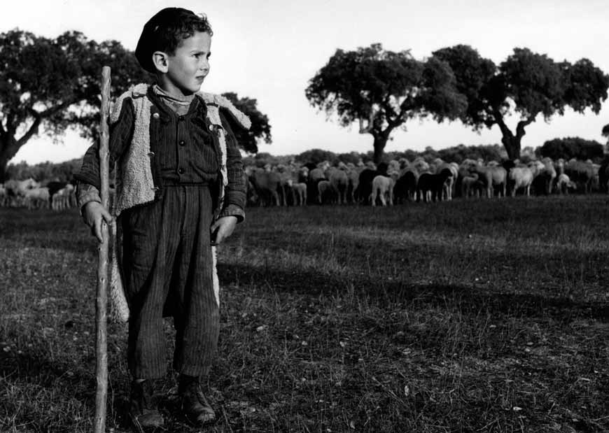 Shepherd boy (Пастушок), 1951