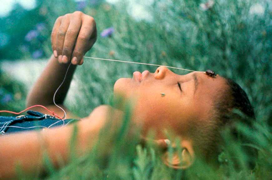 Boy with June Bug (Мальчик с майским жуком), 1963