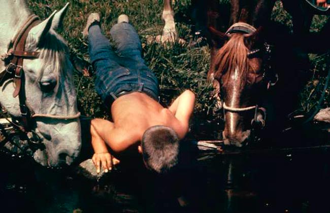 A boy and his horses dip their heads into a creek for a drink of water (Мальчик и его лошади окунают головы в ручей, чтобы попить воды), 1961