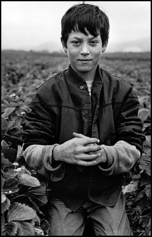 Young migrant worker (Юный рабочий-мигрант), 1975