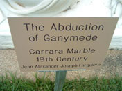 The Abduction of Ganymede (Похищение Ганимеда), XIX